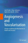 Angiogenesis and Vascularisation: Cellular and Molecular Mechanisms in Health and Diseases