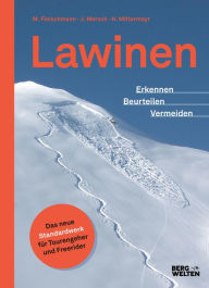 Title: Lawinen: Erkennen - Beurteilen - Vermeiden, Author: Jan Mersch