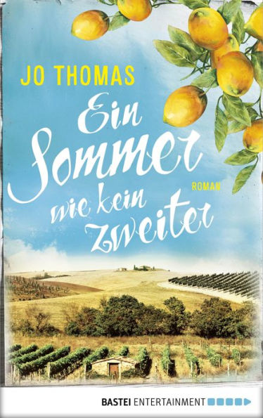 Ein Sommer wie kein zweiter: Roman