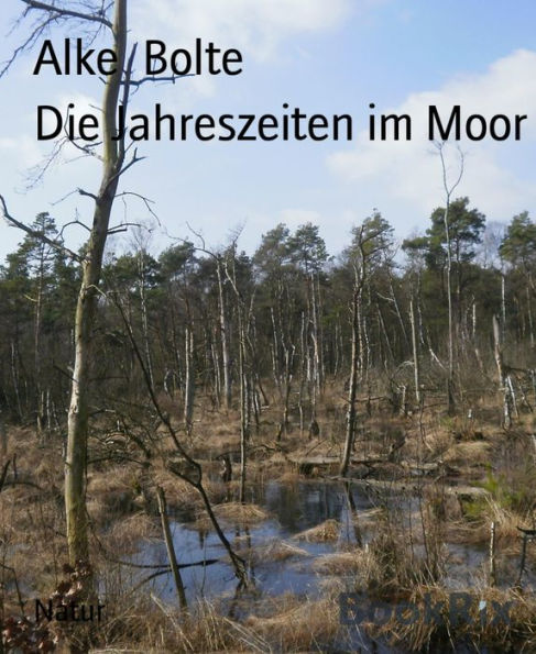 Die Jahreszeiten im Moor