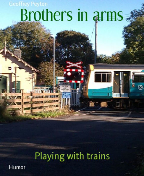 Brothers in arms: Playing with trains