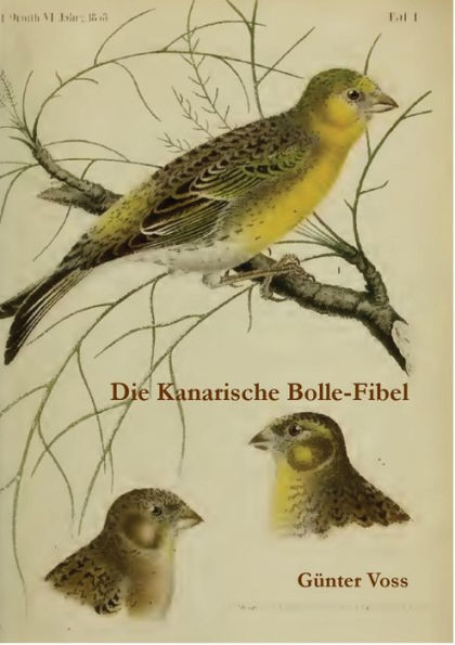 Die Kanarische Bolle-Fibel