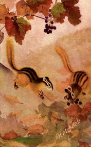 Title: Eichhörnchen - Notizbuch: Motiv Notizbuch, Notebook, Einschreibbuch, Tagebuch, Kritzelbuch im praktischen Pocketformat, Author: Theo Von Taane