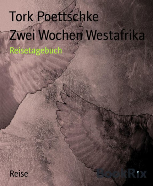 Zwei Wochen Westafrika: Reisetagebuch