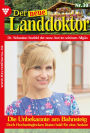 Der neue Landdoktor 30 - Arztroman: Die Unbekannte am Bahnsteig