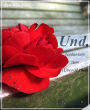 Und.: Gedanken zum (Über-)Leben