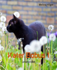 Title: Kater Bobus 1: Leseprobe, Author: Melina Hilger