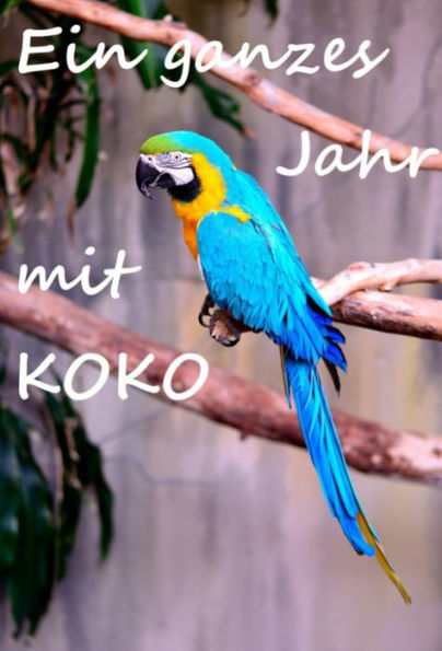 Ein ganzes Jahr mit Koko: Ein Papagei entdeckt die Welt