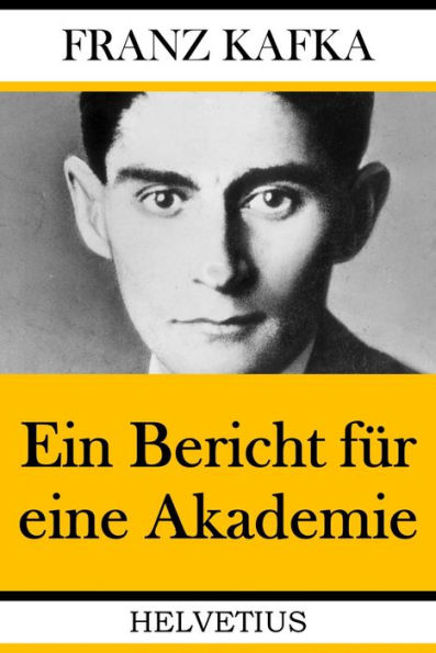 Ein Bericht für eine Akademie