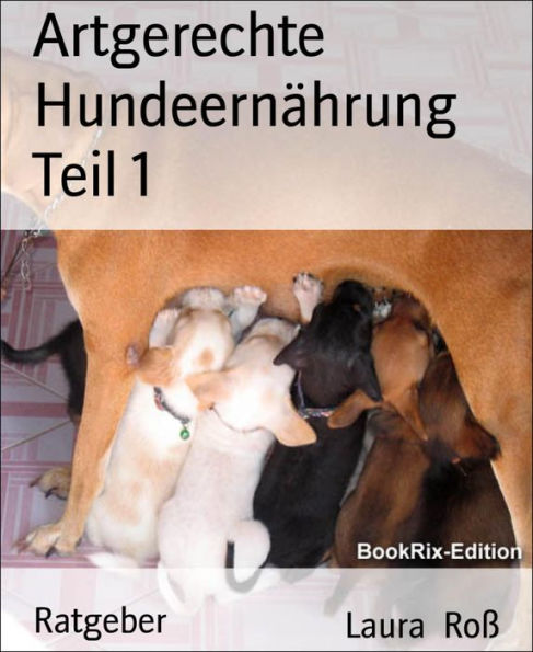 Artgerechte Hundeernährung Teil 1