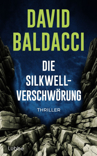 Die Silkwell-Verschwörung: Thriller. Ein Mord an einer CIA-Agentin. Amerikas schmutzigste Geheimnisse. Ein neuer Fall für Travis Devine