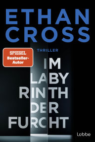 Title: Im Labyrinth der Furcht: Thriller. Ein neuer Francis-Ackerman-jr-Thriller vom Bestseller-Autor, Author: Ethan Cross