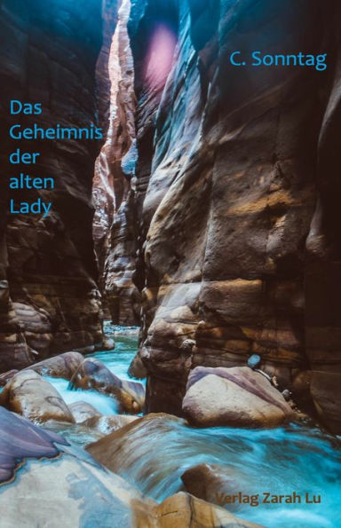 Das Geheimnis der alten Lady: Jugend- und Fantasyroman