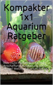 Title: Kompakter 1x1 Aquarium Ratgeber: Was muss man wissen für eine Anschaffung, Ausstattung und Pflege? Welche Aquarium Fische?, Author: Powerlifting check