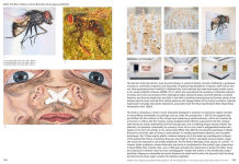 Alternative view 4 of Jana Euler: Exhibitionism