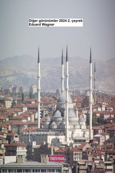 Diger görünümler 2024 2. çeyrek