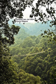 Title: Tampilan lainnya Juli 2024, Author: Eduard Wagner