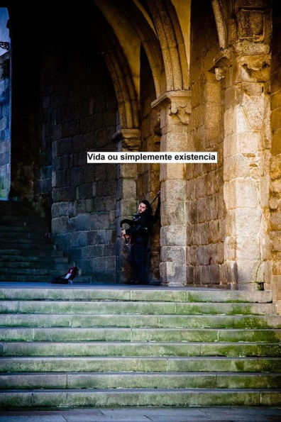 Vida ou simplemente existencia