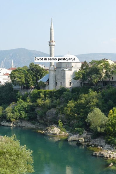 Zivot ili samo postojanje