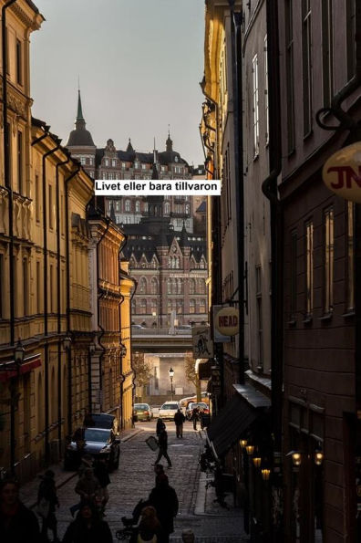 Livet eller bara tillvaron