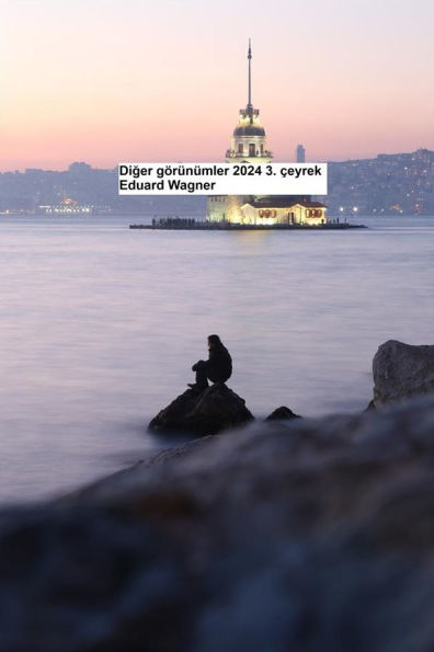 Diger görünümler 2024 3. çeyrek