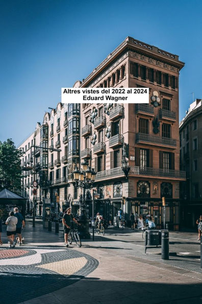 Altres visualitzacions del 2022 al 2024