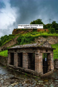 Title: Ostali pogledi Decembar 2024, Author: Eduard Wagner