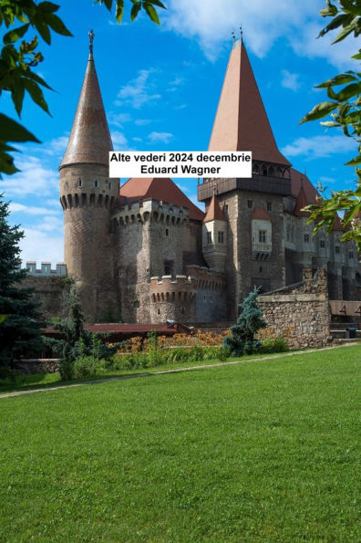 Alte vederi 2024 decembrie