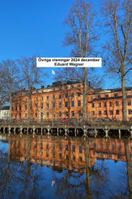 Title: Övriga visningar 2024 december, Author: Eduard Wagner