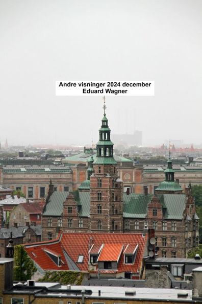 Andre visninger 2024 december