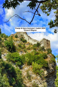 Title: Pamje të tjera tremujori i katërt 2024, Author: Eduard Wagner