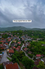 Title: Drugi pogledi februar 2025, Author: Eduard Wagner