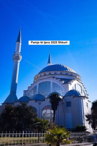 Title: Pamje të tjera 2025 Shkurt, Author: Eduard Wagner