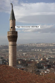 Title: Diger görüsler 2025 Mart, Author: Eduard Wagner