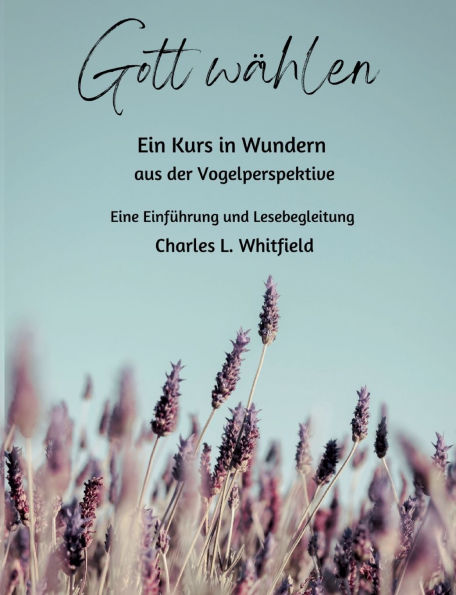 Gott wï¿½hlen: Ein Kurs in Wundern aus der Vogelperspektive
