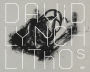 David Lynch: Lithos