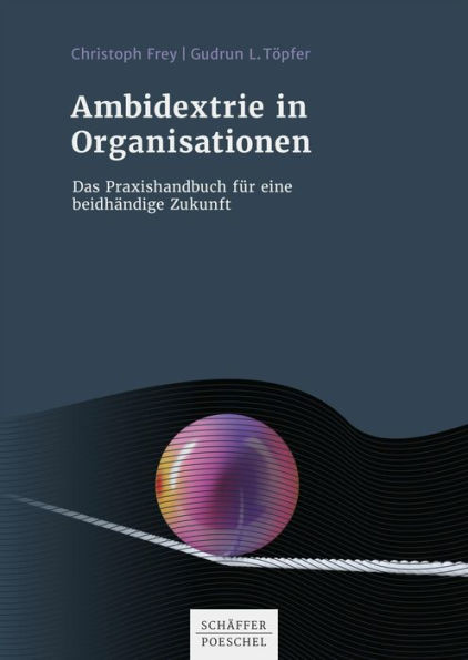 Ambidextrie in Organisationen: Das Praxisbuch für eine beidhändige Zukunft