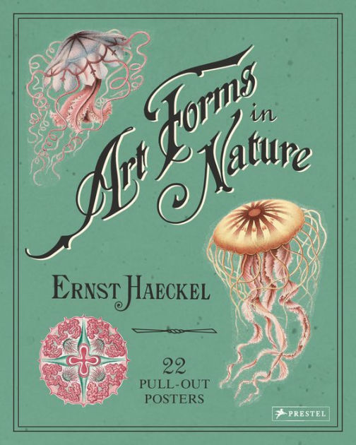 The Art And Science Of Ernst Haeckel Book Pdf
