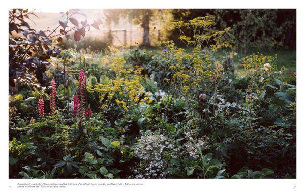 Beyond the Meadows: Portrait of a Natural and Biodiverse Garden by Krautkopf