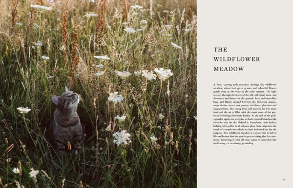 Beyond the Meadows: Portrait of a Natural and Biodiverse Garden by Krautkopf