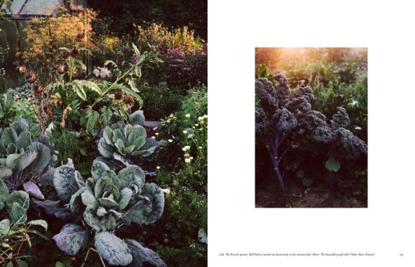 Beyond the Meadows: Portrait of a Natural and Biodiverse Garden by Krautkopf