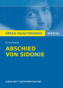 Abschied von Sidonie: Analyse / Interpretation