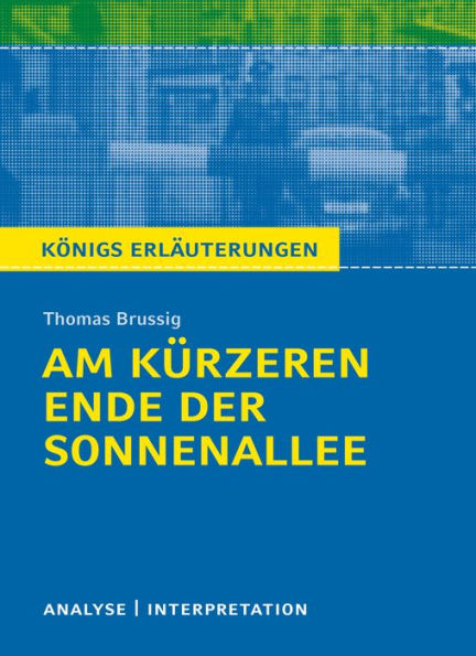 Am kürzeren Ende der Sonnenallee: Analyse / Interpretation