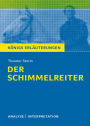 Der Schimmelreiter von Theodor Storm.: Textanalyse und Interpretation mit ausführlicher Inhaltsangabe und Abituraufgaben mit Lösungen