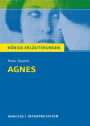 Agnes von Peter Stamm. Königs Erläuterungen.: Textanalyse und Interpretation mit ausführlicher Inhaltsangabe und Abituraufgaben mit Lösungen