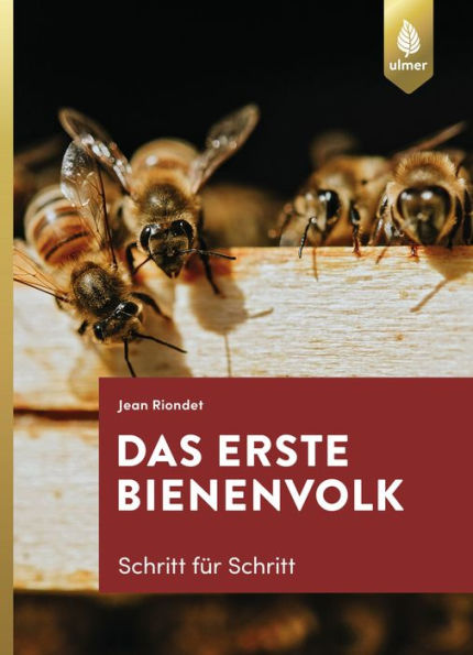 Das erste Bienenvolk - Schritt für Schritt