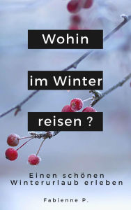 Title: Wohin im Winter reisen ?: Einen schönen Winterurlaub erleben, Author: Fabienne P.