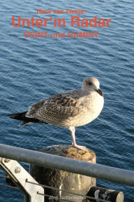 Title: Henk van Zweije: Unter'm Radar: Menschen verraten so viel von sich - selbst wenn sie lügen - OSINT und HUMINT im Einsatz, Author: Jörg Tschentscher