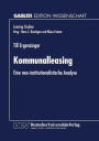 Kommunalleasing: Eine neo-institutionalistische Analyse