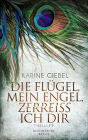 Die Flügel, mein Engel, zerreiß ich dir: Thriller